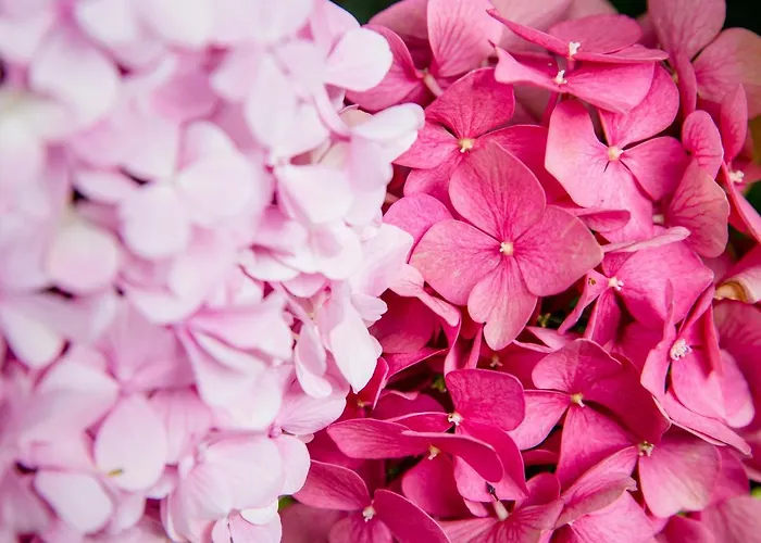 La Bigourdane Penzion 3*